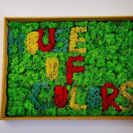 House Of Colors Apartment Petroşani Екстериор снимка