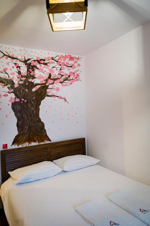 House Of Colors Apartment Petroşani Екстериор снимка